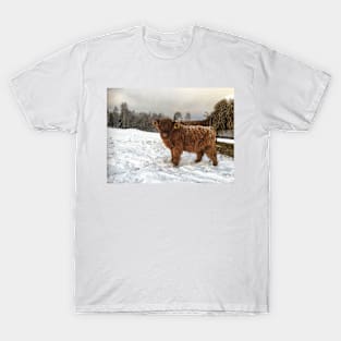 Scottish Highland Cattle Calf 1855 T-Shirt